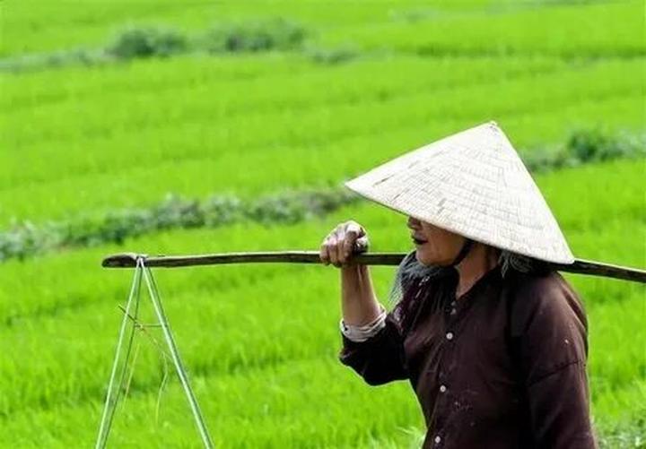 Triển lãm Dự án và Thu hút Khách Hàng Mới với Hotspot Matrix