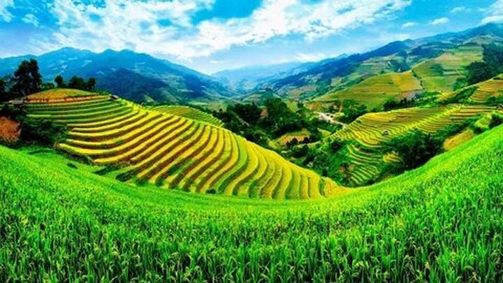 Hotspot Matrix và công cụ kiểm soát chất lượng thực phẩm