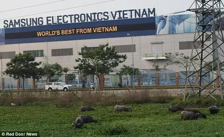 Bố của giám đốc 13 tuổi là ai - Cảm hứng video marketing từ Hotspot Matrix