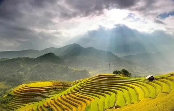 Hotspot Matrix: Biến Phương Oanh diện set đồ 50 thành cơ hội marketing đột phá